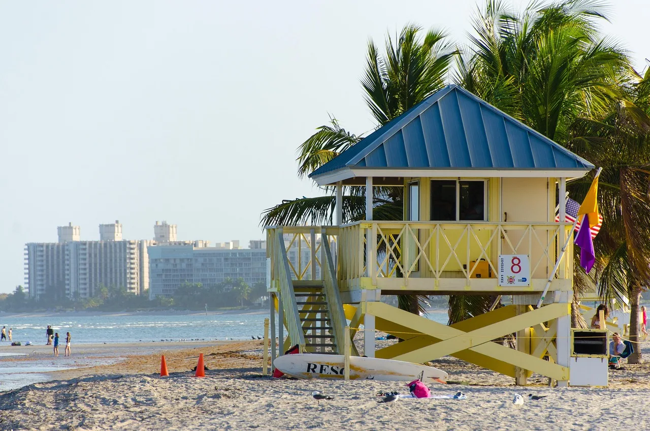beach, miami, crandon park beach, key biscayne, summer, ocean, nature, florida, miami beach, bay, tourism, miami florida, waterfront, tropical, palm. Miami bilingual promotion guide for tourism and food businesses
